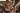 Bild-Text-1 Bild-Text-1