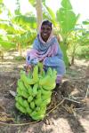 Eine Frau präsentiert stolz ihre Bananenernte.