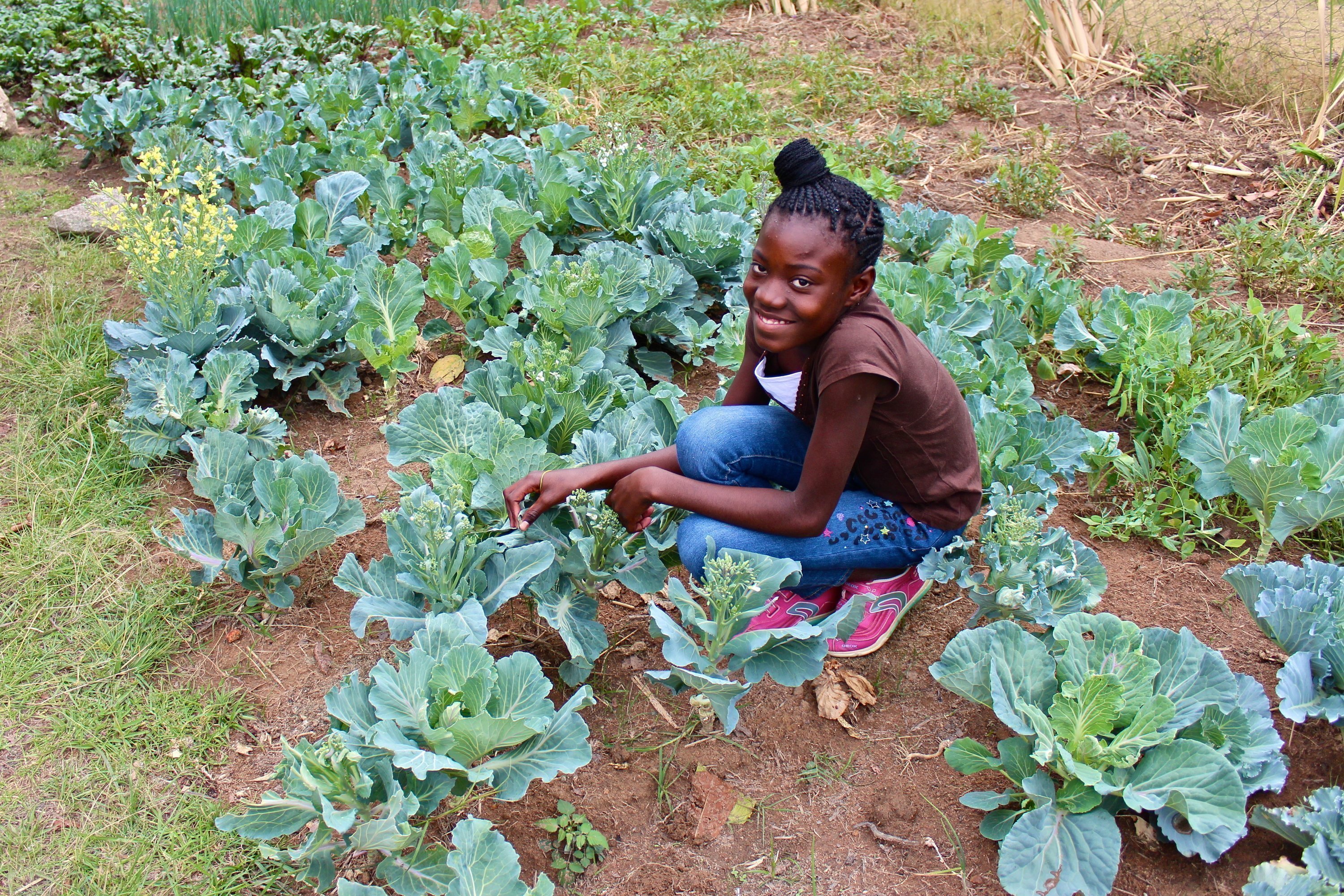 Un bambino africano di un villaggio dei bambini SOS seduto in un orto mentre si occupa dell’insalata.